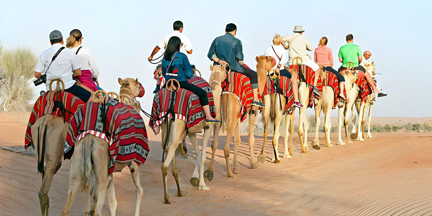 Marrakech Linelyes Adventure daypass palmeraie 1h quad / chameau / the / transport (palmeraie)